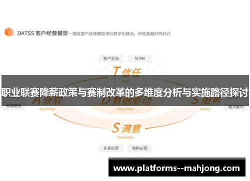 职业联赛降薪政策与赛制改革的多维度分析与实施路径探讨 职业联赛降薪政策与赛制改革的多维度分析与实施路径探讨