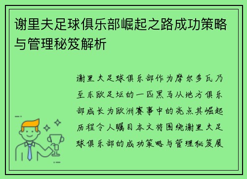 谢里夫足球俱乐部崛起之路成功策略与管理秘笈解析